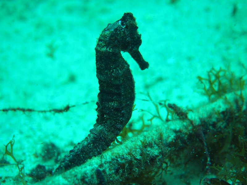 Curacao 04-12 136.JPG